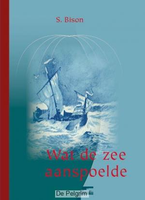 Wat de zee aanspoelde