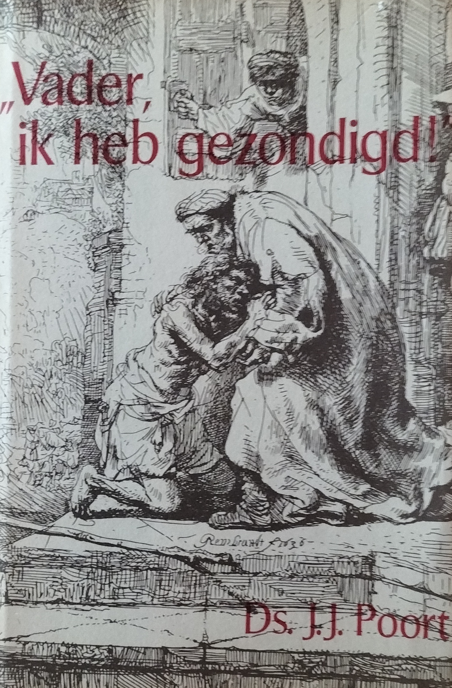 Vader ik heb gezondigd! - Poort
