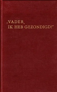 Vader ik heb gezondigd! - Poort