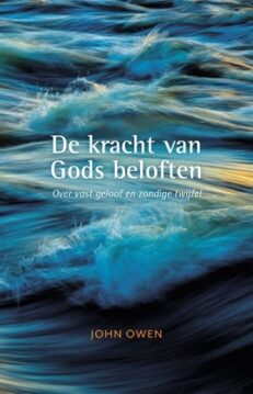 De kracht van Gods beloften - Owen